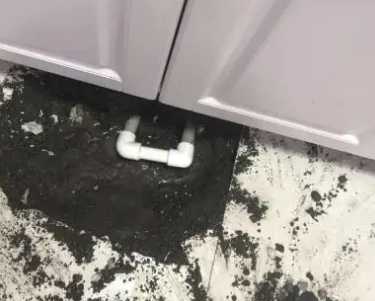 浮梁查漏水哪家好